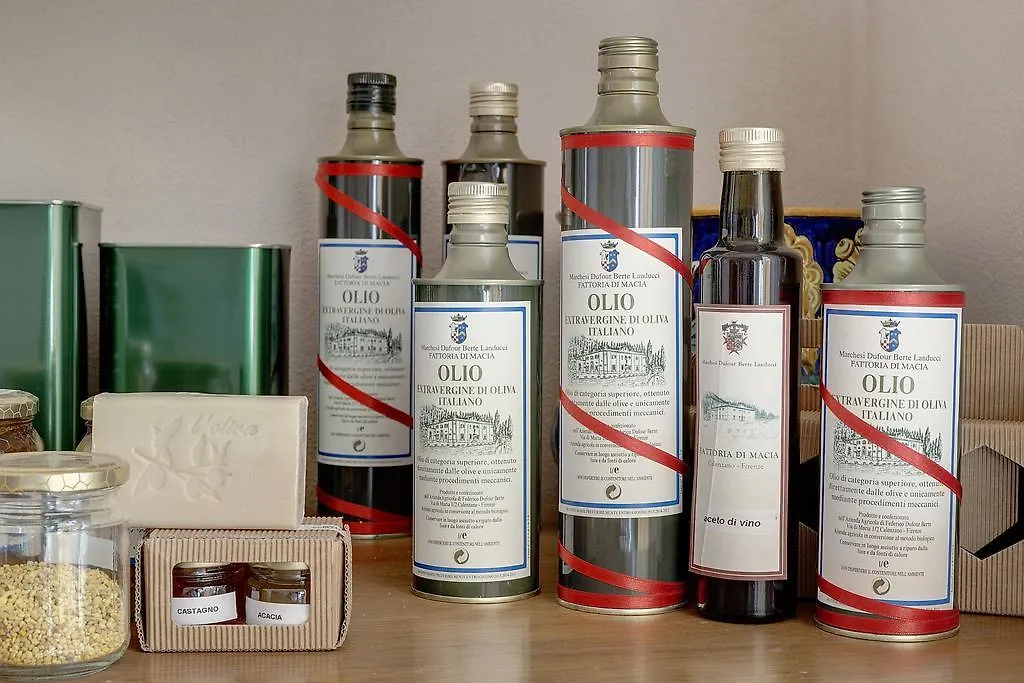 Fattoria Di Macia Villa Calenzano Holiday home